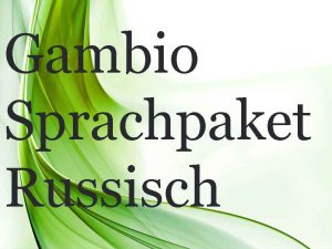 Russisch Sprachpaket Gambio – neue Käufergruppen sicher erreichen