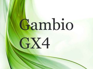 Professionelle Gambio GX4 Installation auf Ihrem Webspace